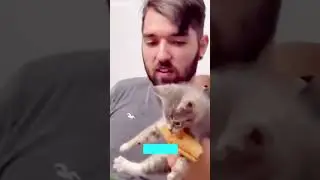 Funny Cats 2024 🥰 Cat videos Compilation 🥰 # #2556
