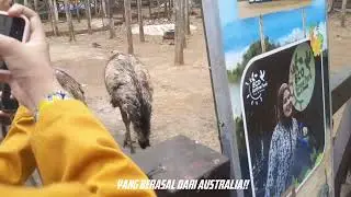 VLOG EDUCATIONAL TRIP‼️excellent class🚎🚨  Eco green park & alun&sup2; batu📢 nasywa raisa V-III C