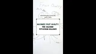Maximize Fruit Quality: The Calcium-Potassium Balance