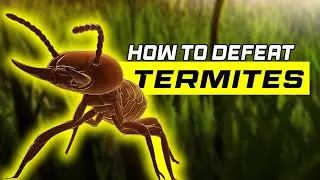 How to Defeat TERMITES - Grounded Gameplay