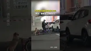 Chinese man walks dog on bike while dog on scooter. #dog #interesting #funny #pet #scooter
