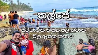තල්පේ ජල තටාක හා සුන්දර වෙරළ තීරය | Thalpe beach | @sparkling-nature
