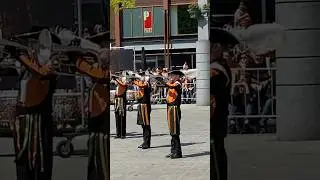 🎉 Koningsdag 2025! The Most Amazing Kingsday Festival Celebration 🇳🇱#shorsviral