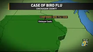 Bird flu case confirmed in Chickasaw County