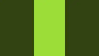 Yellow Green Screen | 4K