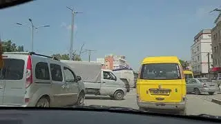 hamiz alger
