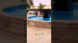 Dog splashing around ⛲