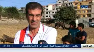 عيد الاضحى : جزائريون يشتركون في الاضحية ...و العجول خيارهم الأول