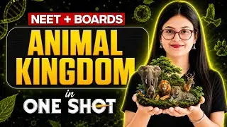 🔥ANIMAL KINGDOM ⚡ in just 40 minutes  NCERT📕+TRICKS 😃 ONE SHOT 💯 | CLASS 11 BIOLOGY | NEET 2026