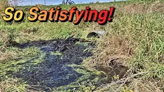 Culvert Unplug, Beavers are Crazy lol