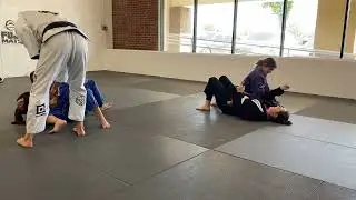 The Ladies Drilling the Kesa Gatame Arm Trap by Greg Hamilton BJJ