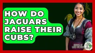 How Do Jaguars Raise Their Cubs? - History Of Latin Cultures