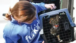 Furkids 21st Anniversary