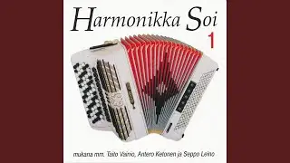 Kaksi kitaraa