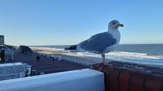 unterwegs auf Sylt im Februar 2023