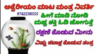 ಅಕ್ವೆರಿಯಂ ಮಾಟ ಮಂತ್ರ ನಿವರ್ತಿ#Aqurium to ward off black magic