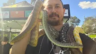 SNAKE CATCHER DIAMOND CREEK