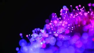 Fiber Optics Macro Shot | Futuristic Light Effect | No Copyright | Free Download