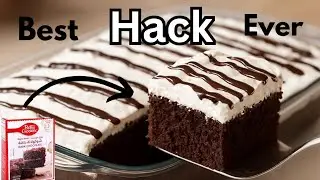 BEST CAKE HACK | HOW TO MAKE CHOCOLATE MILK CAKE AT HOME | CHOCOLATE MILK CAKE RECIPE 