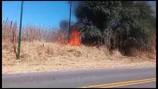 Incendio en Los Mayuatos www.elprimerodelvalle.com