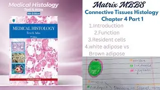 Histology of connective Tissues Part 1.. Simple and Easy By Matrix MBBS. #mbbs #histology #best 