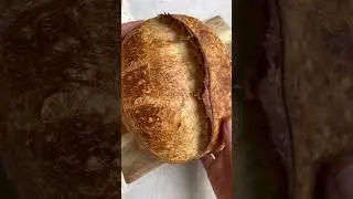 How To Achieve A More Open Sourdough Crumb  #sourdoughstarter #bakingbasics #breadforbeginners