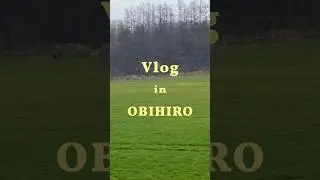 Vlog in Obihiro ⛩️🐮🍺 #trippinohokkaido #hokkaido #sapporo #spring2024 #Obihiro