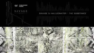 Savage & Hallucinator - The Substance