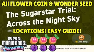 Mario Wonder | The Sugarstar Trial Across The Night Sky Guide |  Shining Falls
