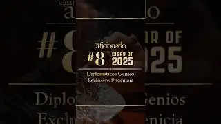 Обсуждение сигары № 8 2025 года.