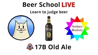 Learn to judge beer. BJCP 17B Old Ale Theakston - Old Peculiar