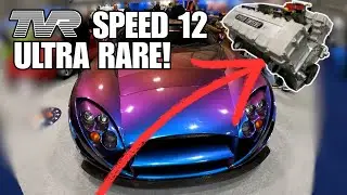 Ультра-редкий TVR Speed ​​12 затмевает всех! + Потрясающие классические мини-автомобили от Coach