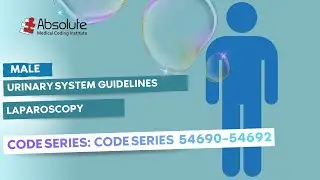 Urinary System (Male) &mdash;  Laparoscopy Coding (Guidelines) [Code Series: 54690&ndash;54692]