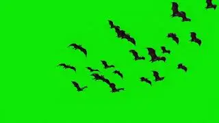 Bat Flock 🦇 Halloween Green Screen Loop | Spooky Overlay Effect