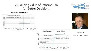Visualizing VOI with the Value of Information Distribution