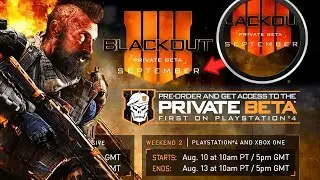 The 2 Black Ops 4 Betas Fully EXPLAINED! (BO4 Blackout & Multiplayer Beta)