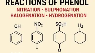 Reactions of Phenol | Nitration, Sulphonation, Halogenation | 2nd Year Chemistry Chapter 11