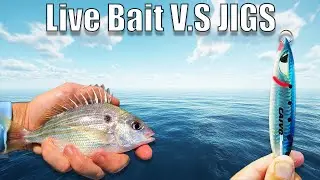 Do Jigs REALLY Catch More Fish Than Live Bait?