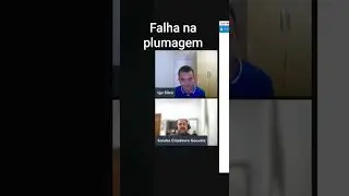 erro de acasalamento falha nas penas