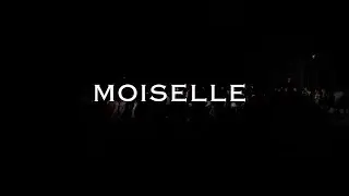 MOISELLE 2017 Annual Review Clip
