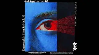 UNDISCOVERED VINTAGE SOUL/JAZZ SAMPLES 