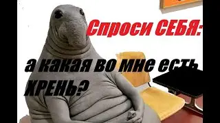 Что это за хрень побежала?