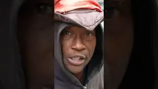🤣 Она похожа на питбуля?