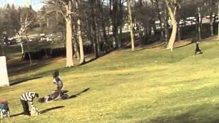A Golden Eagle Picks Up Kid in Park | Eagle Snatches Child