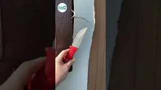 Ocean City Nightmare: Hidden Leaky Window Guts a House!  #njhomeinspector