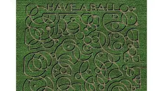 Cullipher Farms prepares for corn maze opening