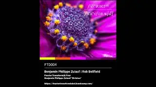 FTD004 Fourier Transform(d) Four - Ben Philippe Zulauf 