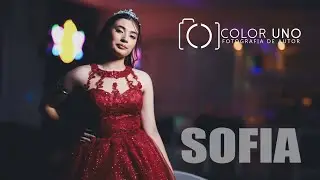 COLOR UNO - RESUMEN SOFIA