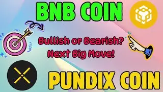BNB & PUNDIX Coin Technical Breakdown &ndash; Is a Rally Ahead?