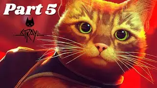 Stray Part 5 - Finding Doc - PC Walkthrough Gameplay